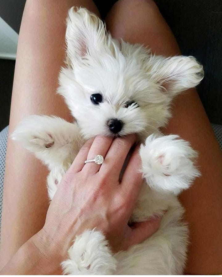 Home page 6 %D fashion%